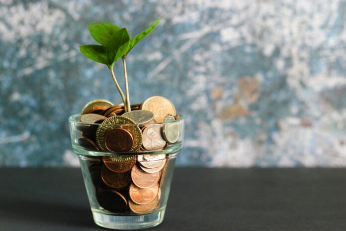 A green plant grows from a glass filled with coins, symbolising long-term saving and wealth planning.